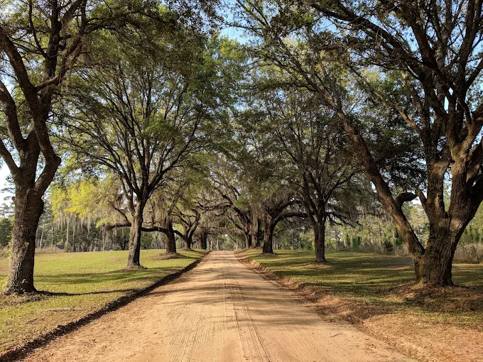Red Hills Fire & Nature Festival @ Tall Timbers (Volunteer Opportunity)