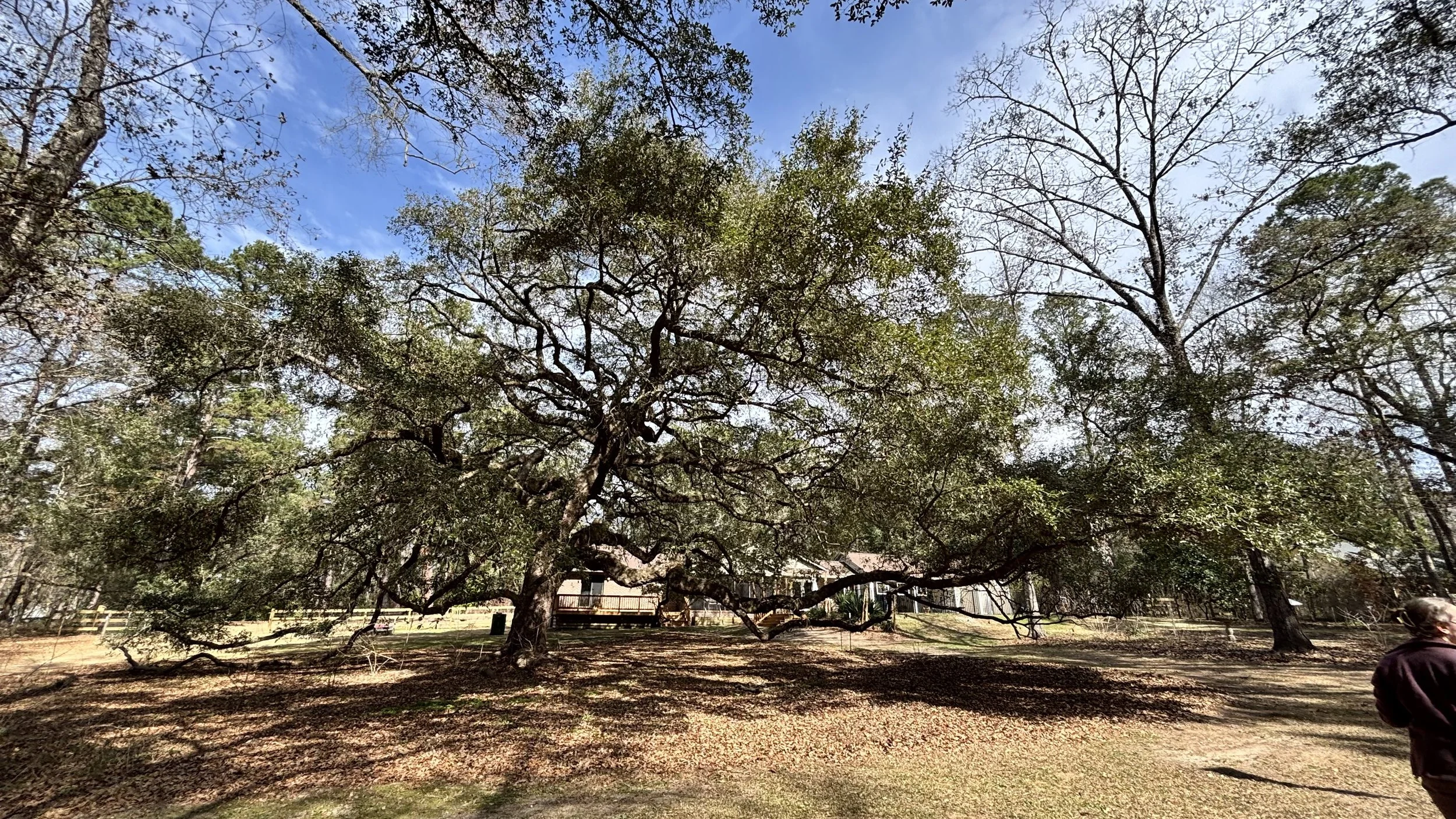 2026 Wildlife-friendly Yard Tour