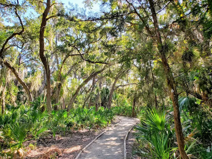Scrub-jay Festival @ Oscar Scherer State Park