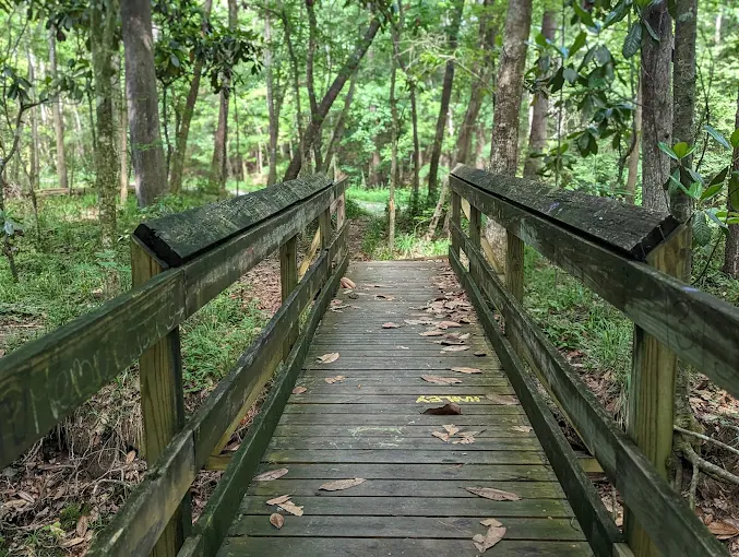 April Birds &amp; Brews: Ology Brewing Co [Power Mill] &amp; Fern Trail