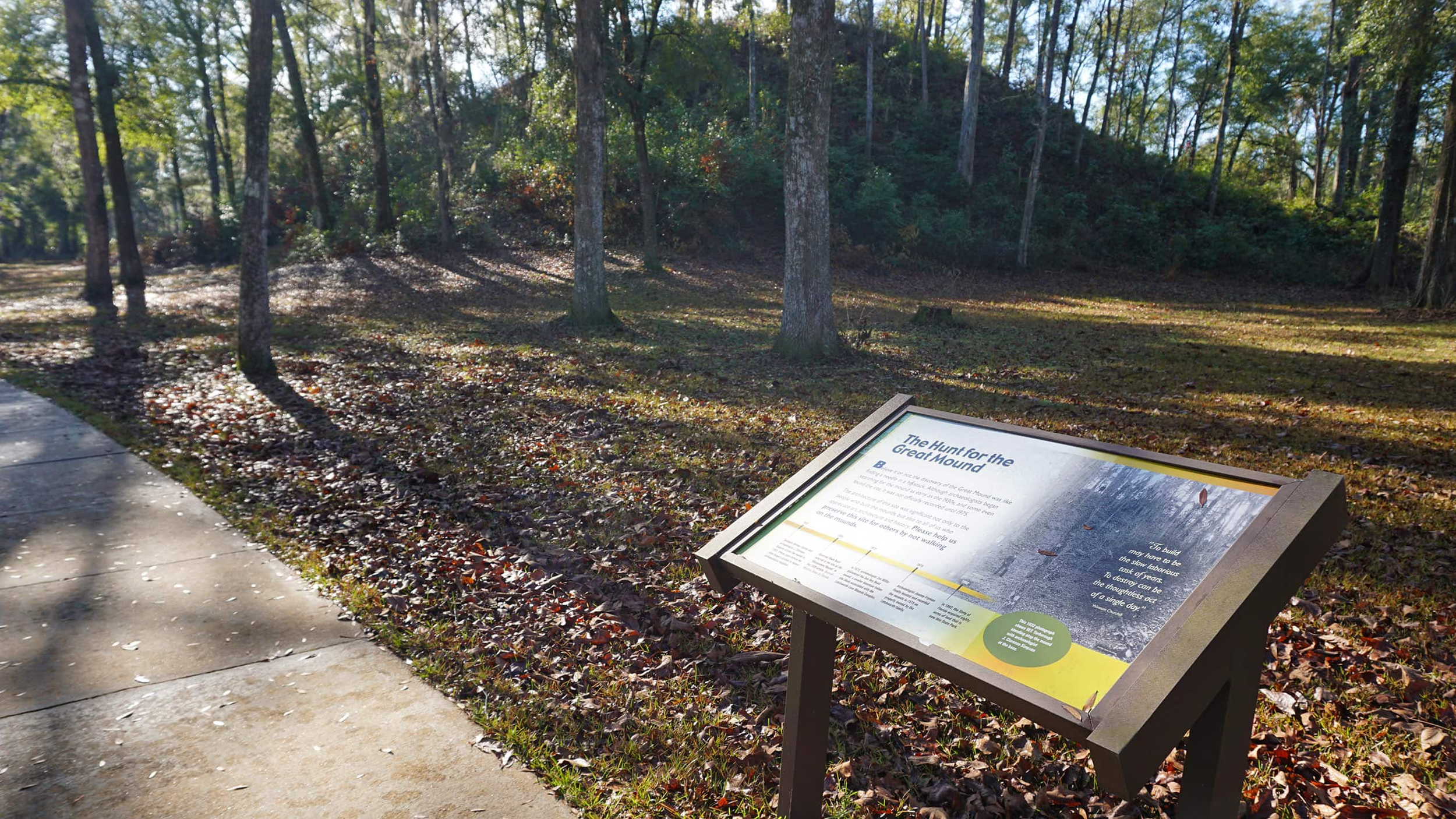Guided Bird Walk: Letchworth-Love Mounds Archaeological State Park with Nick Horton