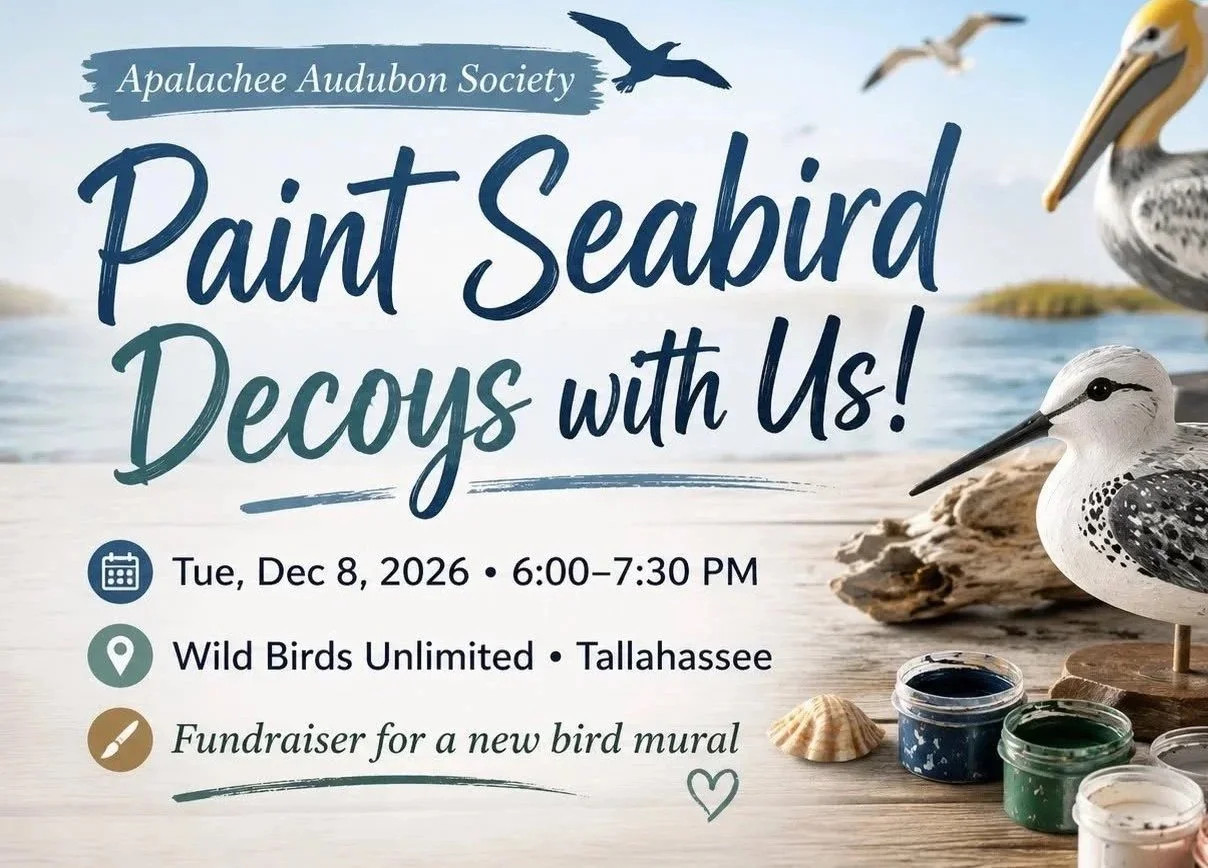 Paint Seabird Decoys with us!