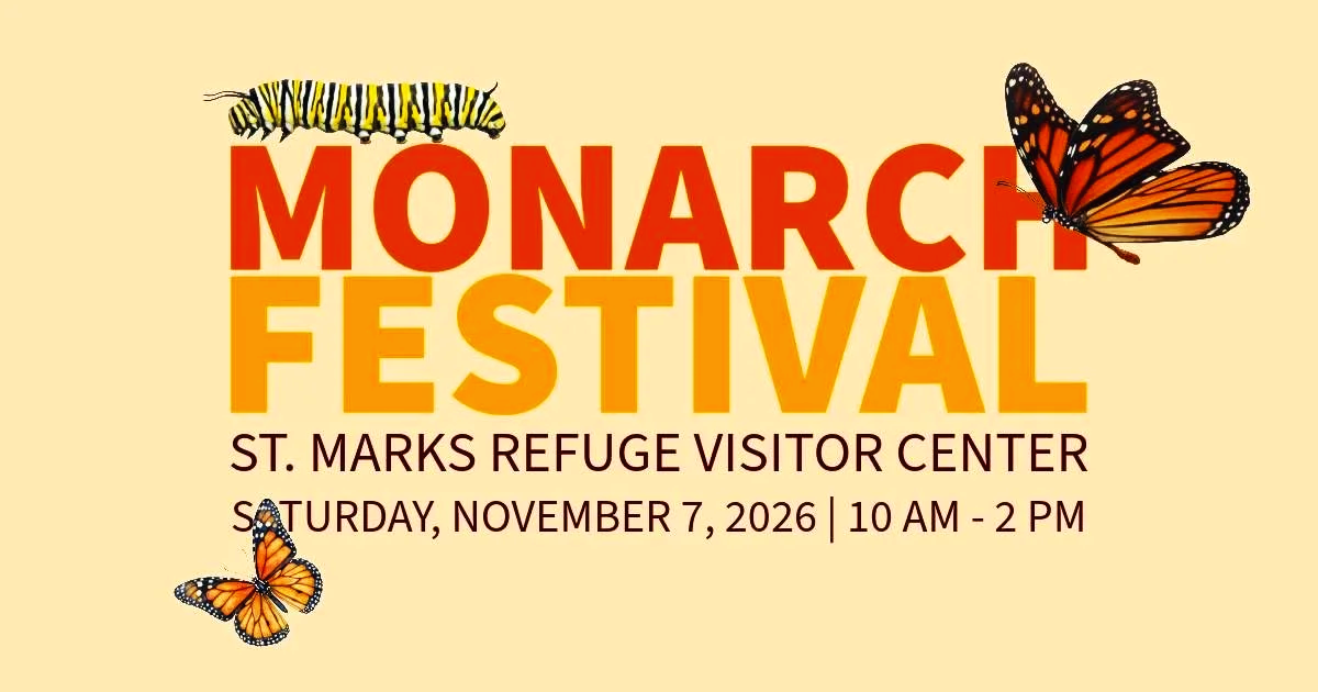 Monarch-Festival-Nov07-2026.png