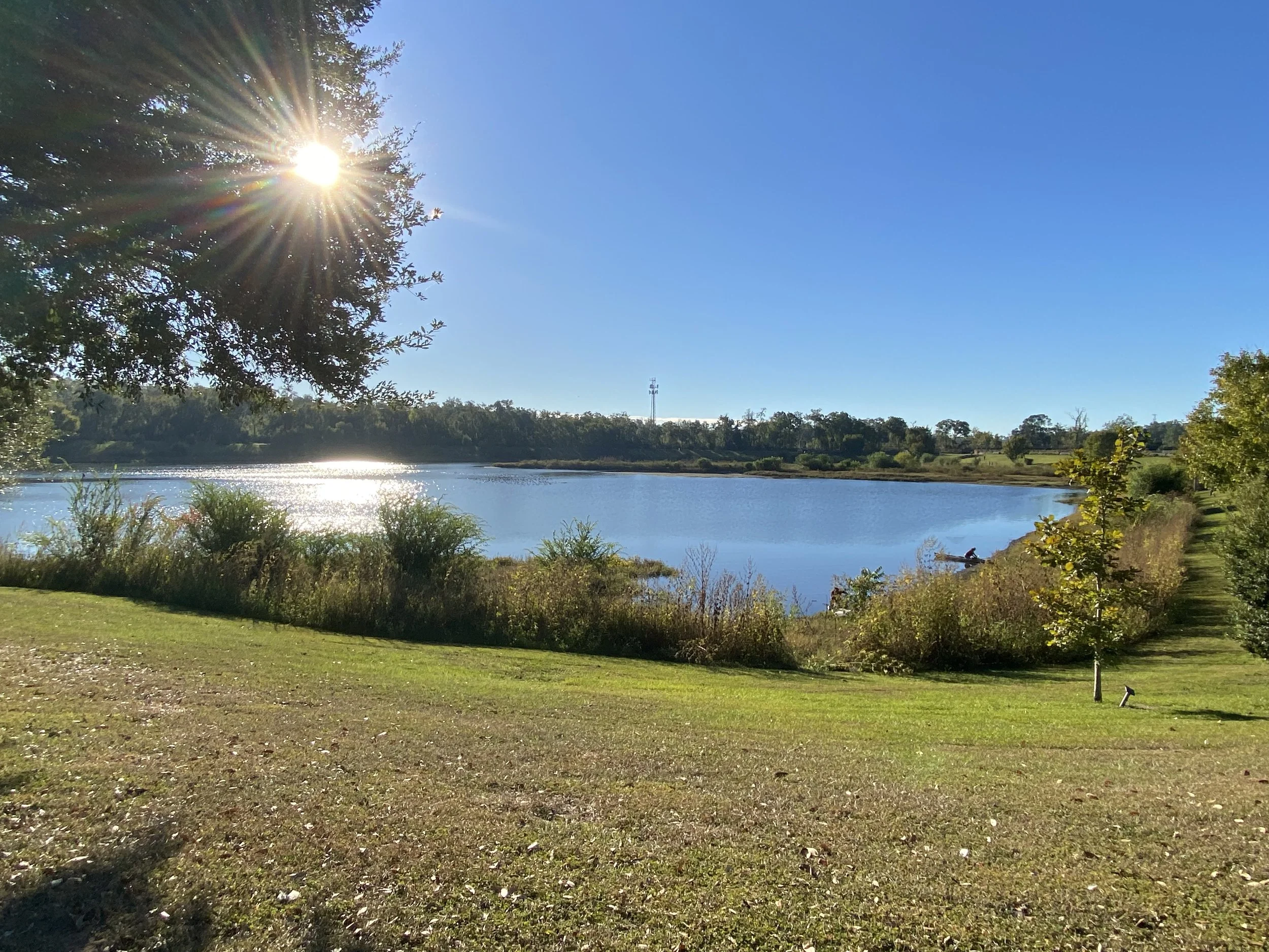 Lake Elberta August Trash Clean-up