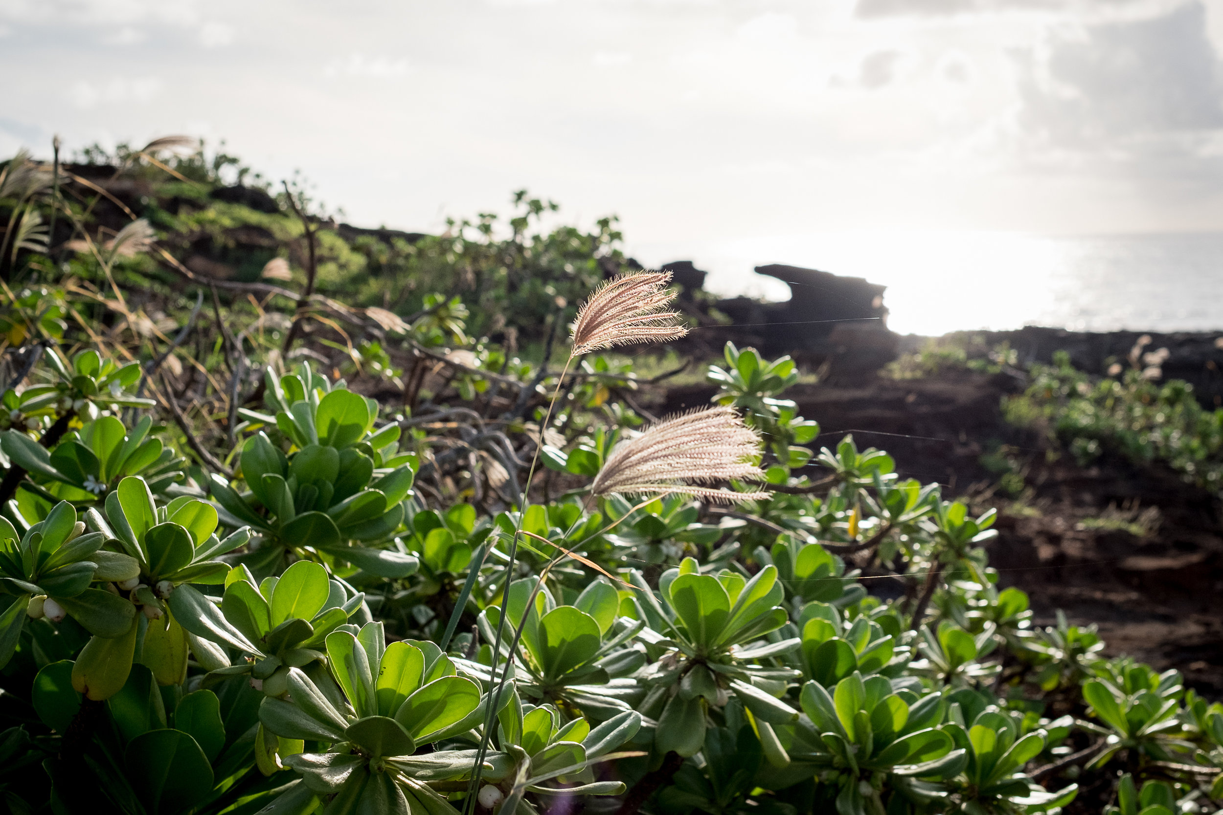 kuai5-3.jpg