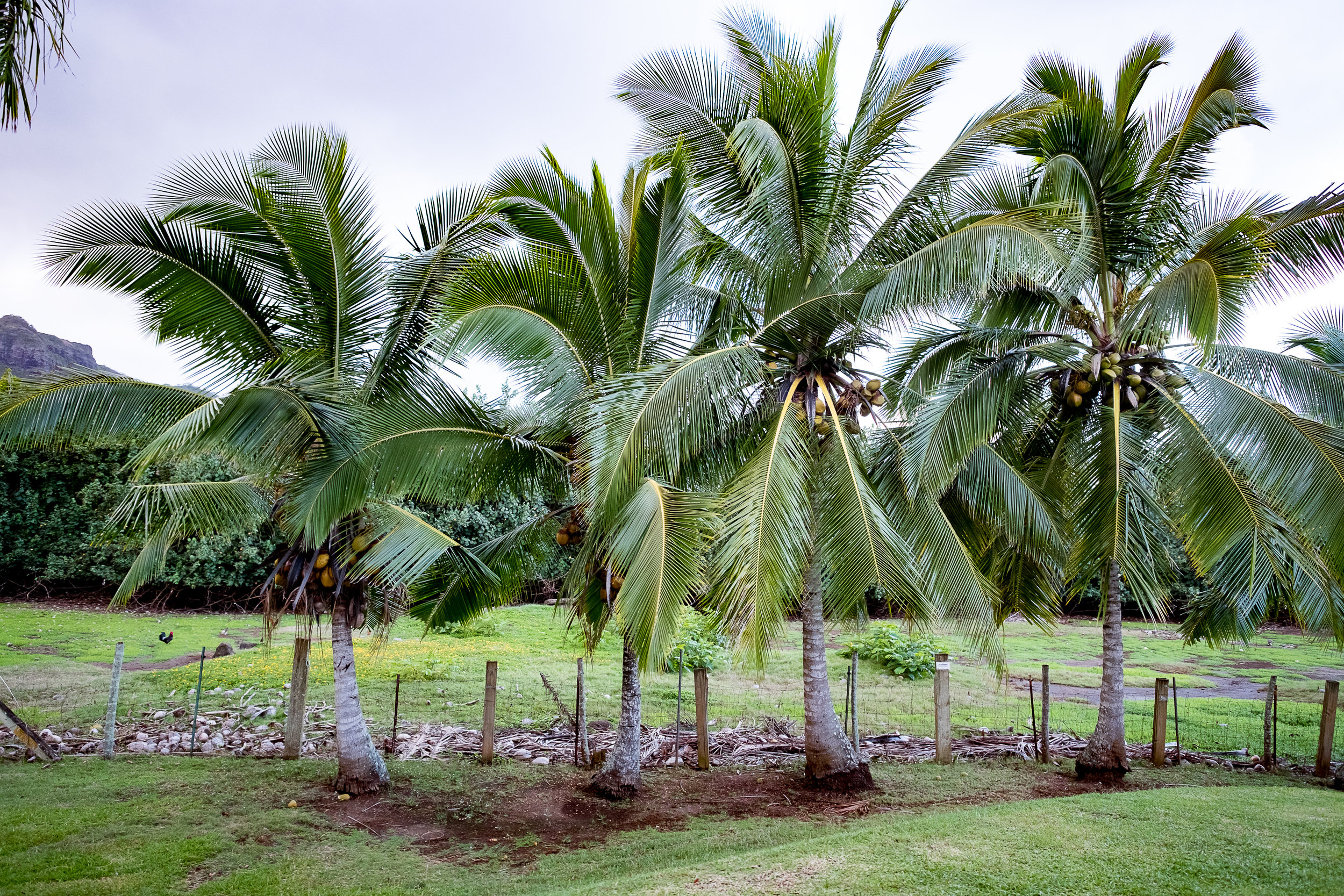 kuai2-33.jpg