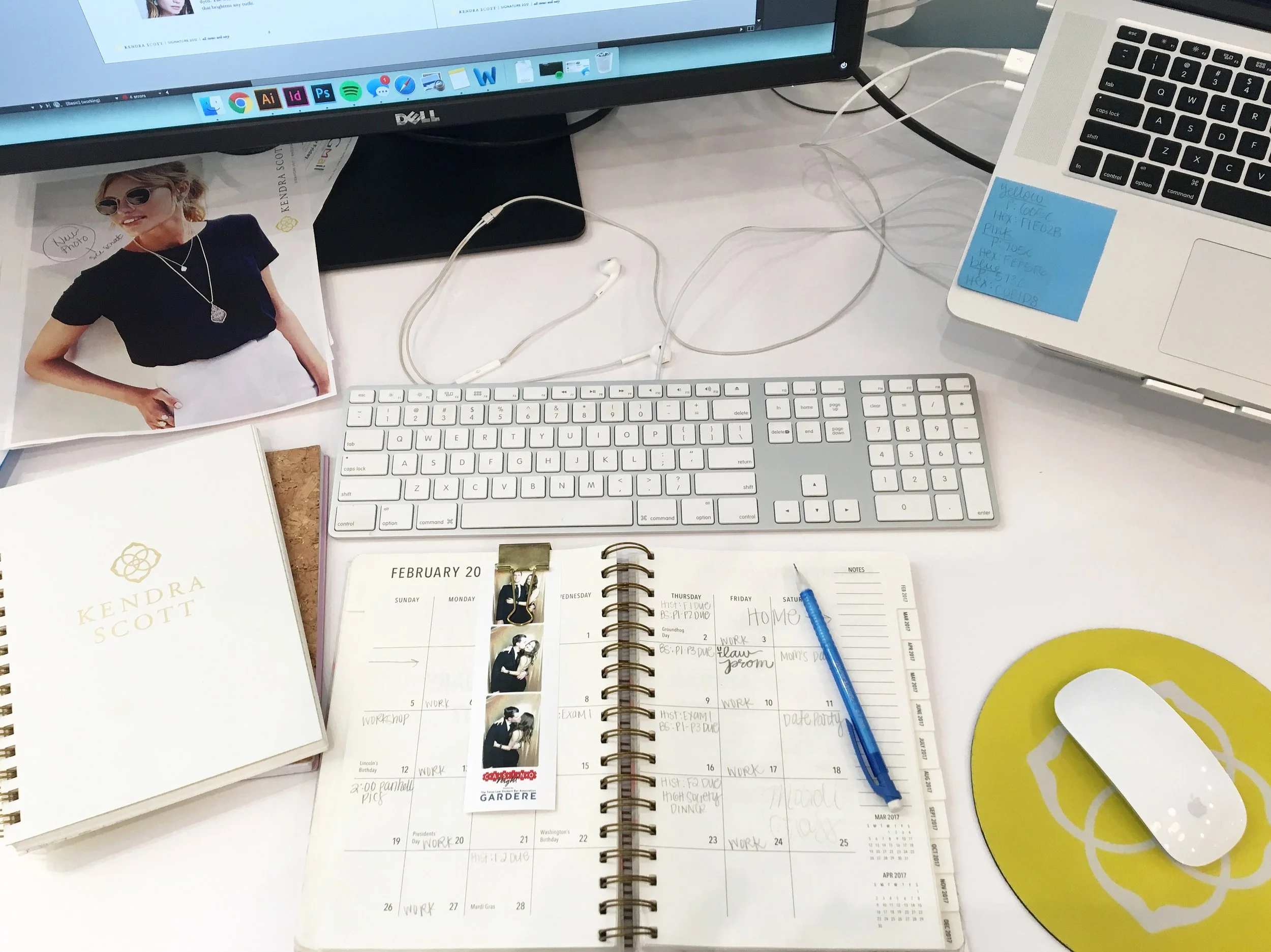 Portfolio, Enterprise and Internship