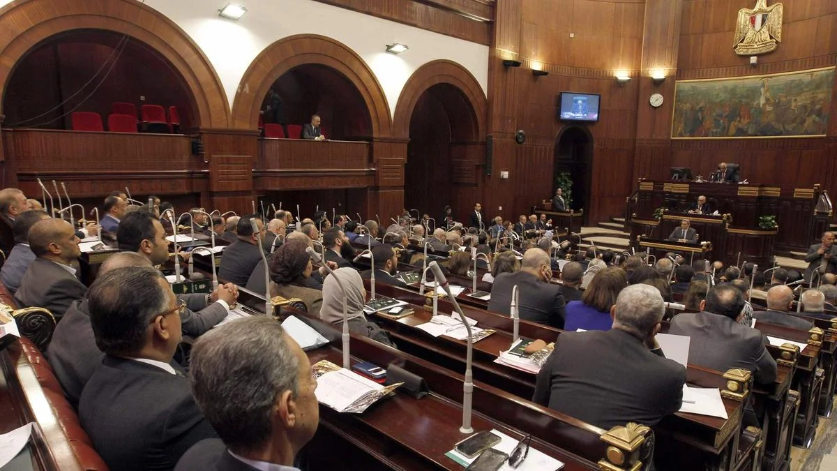 Restrictive law likely to mark the death of many NGOs in Egypt.