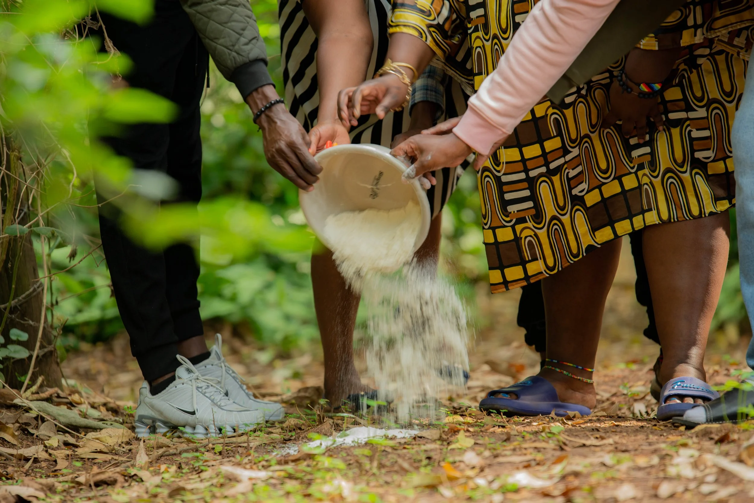 KT_ER - 01 -23-9700.JPG