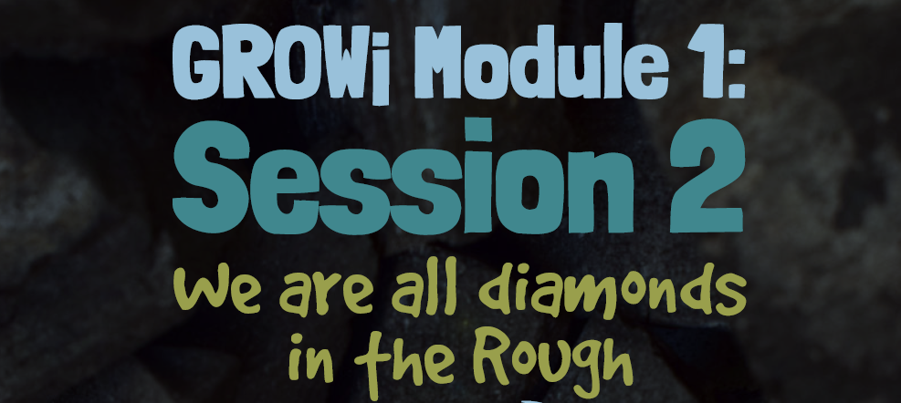 Cohort 3 Reflections| GROW¡ Module 1: Session 2 - We are all diamonds in the Rough
