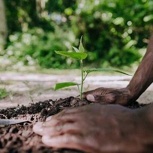 Endowments a small percentage of foundation giving