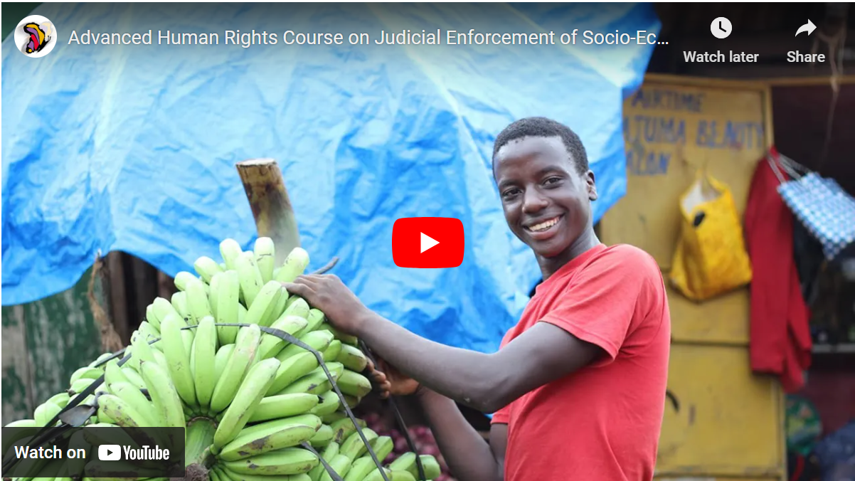 Advanced Human Rights Course: Judicial Enforcement of Socio-Economic Rights in Africa