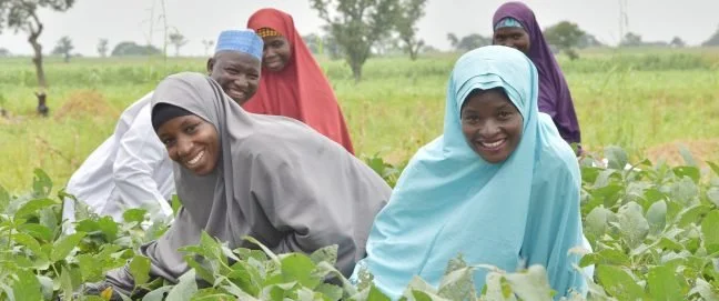 Ford Foundation urges diaspora to rethink African philanthropy 