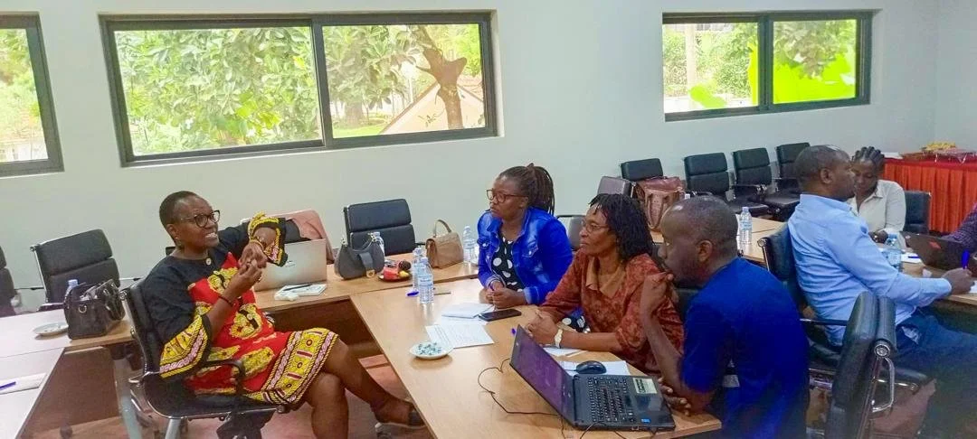 CAPSI teams up with 17 African Universities for a 5-year research project.