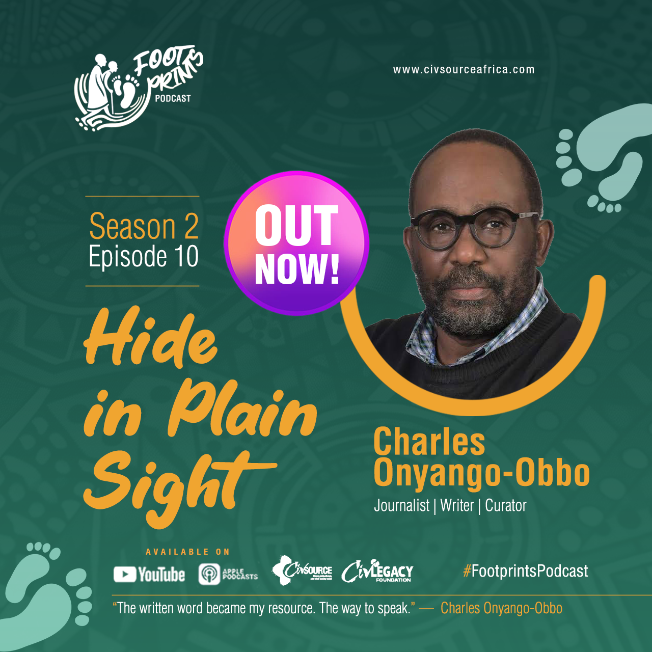 Hide in Plain Sight