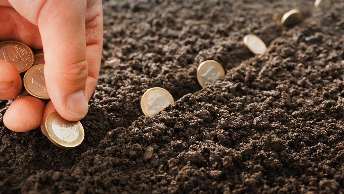 Why Do So Many Impactful Initiatives Disappear When Funding Ends?
