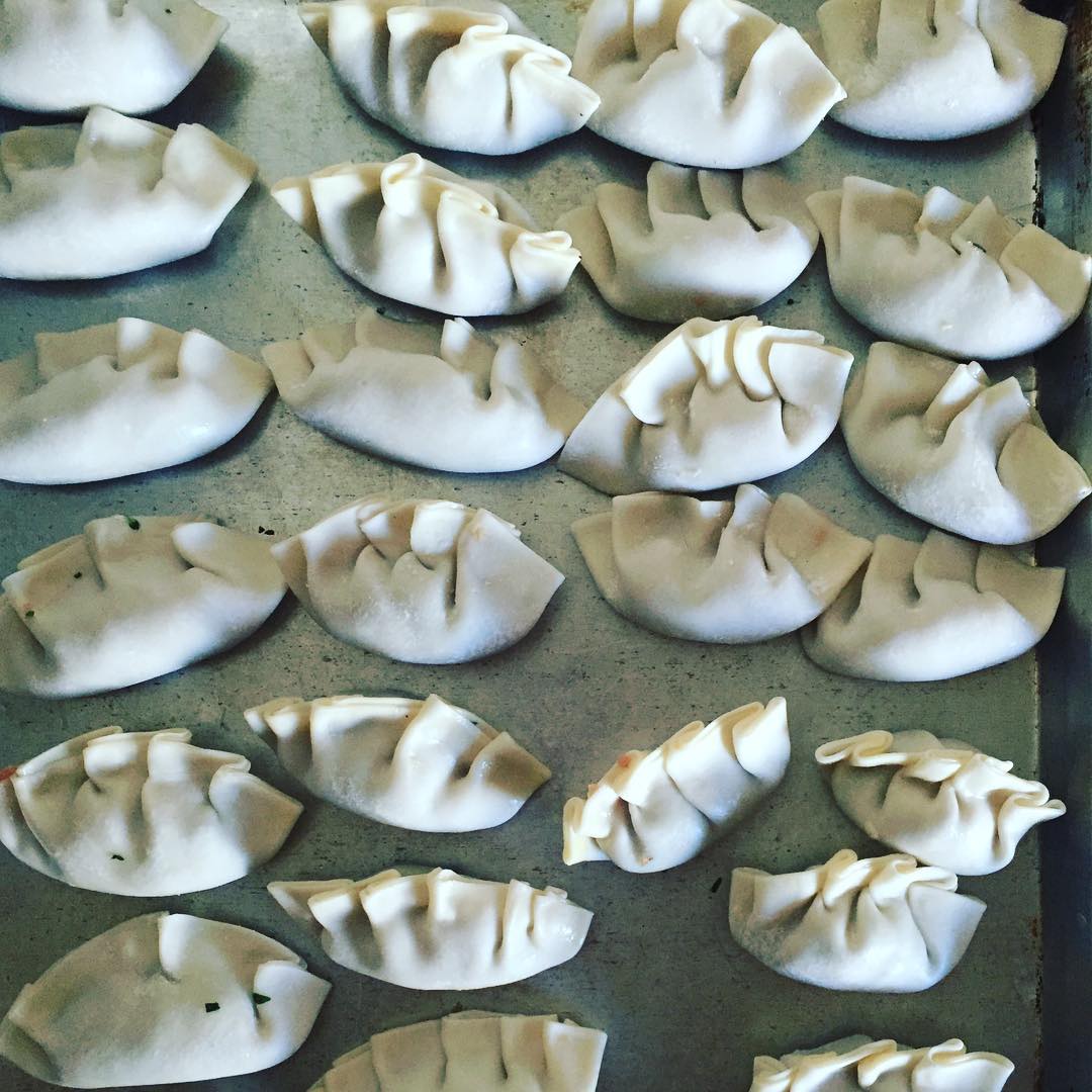 Pork Dumplings