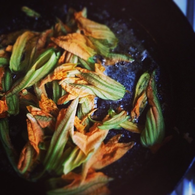 Zucchini blossoms
