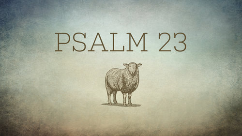 6-23: Resting in a Hectic World