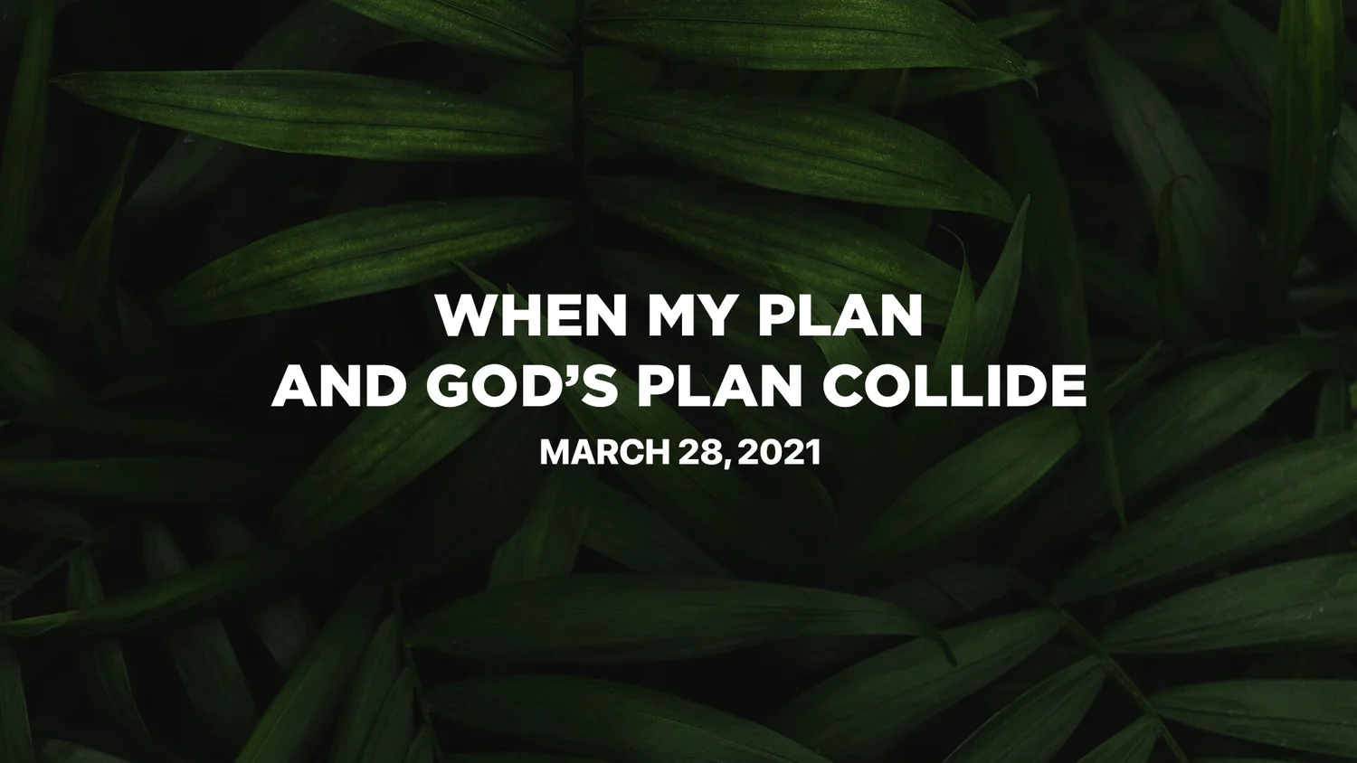 03-28: Palm Sunday :: When My Plan and God's Plan Collide episode artwork