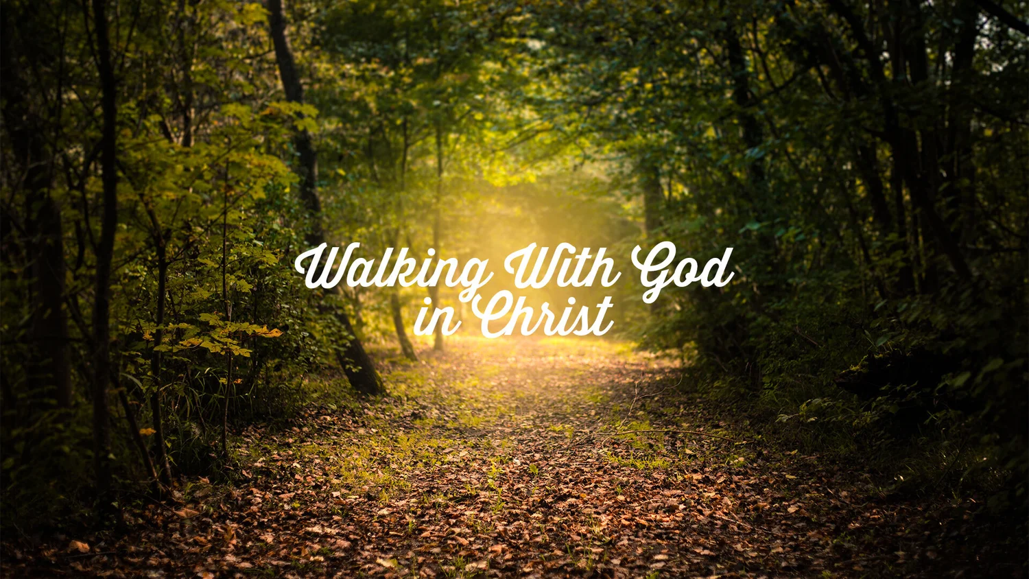 09-05: Walking With God In Christ episode artwork