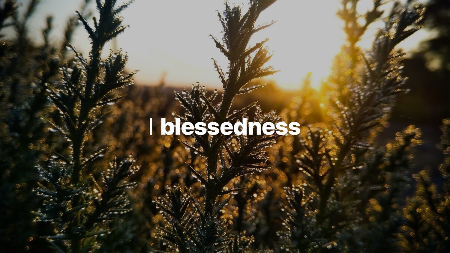 03-20: Blessedness episode artwork