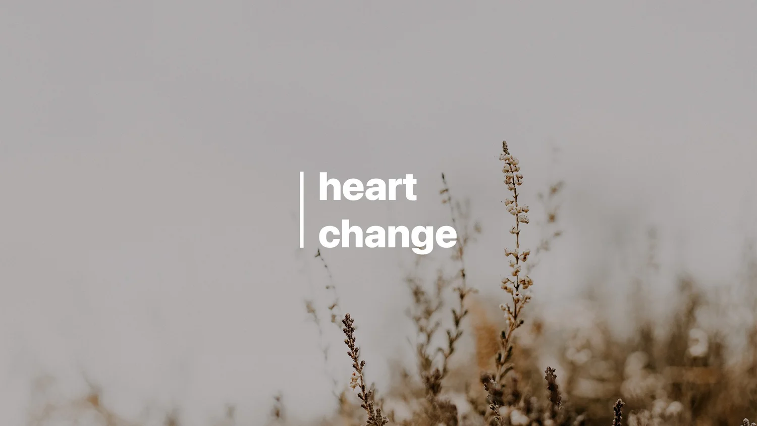 10-02: Heart Change :: The Power of Grace episode artwork