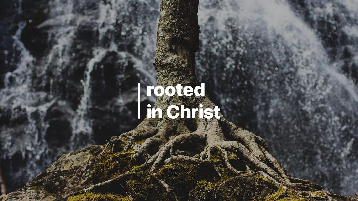 10-16: Rooted In Christ episode artwork