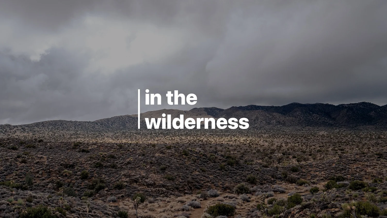 03-12: In The Wilderness episode artwork