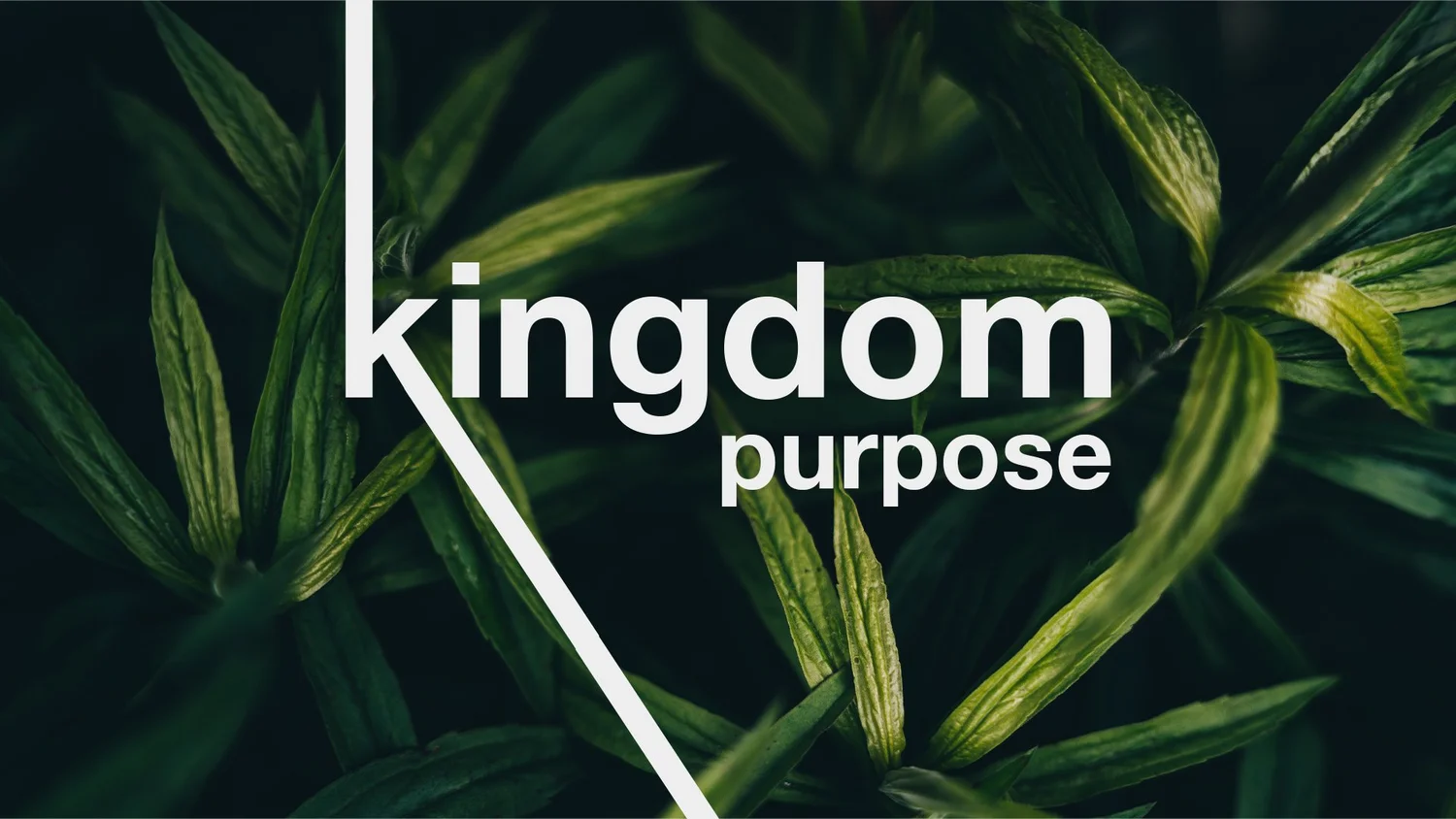 05-21: Kingdom Purpose episode artwork