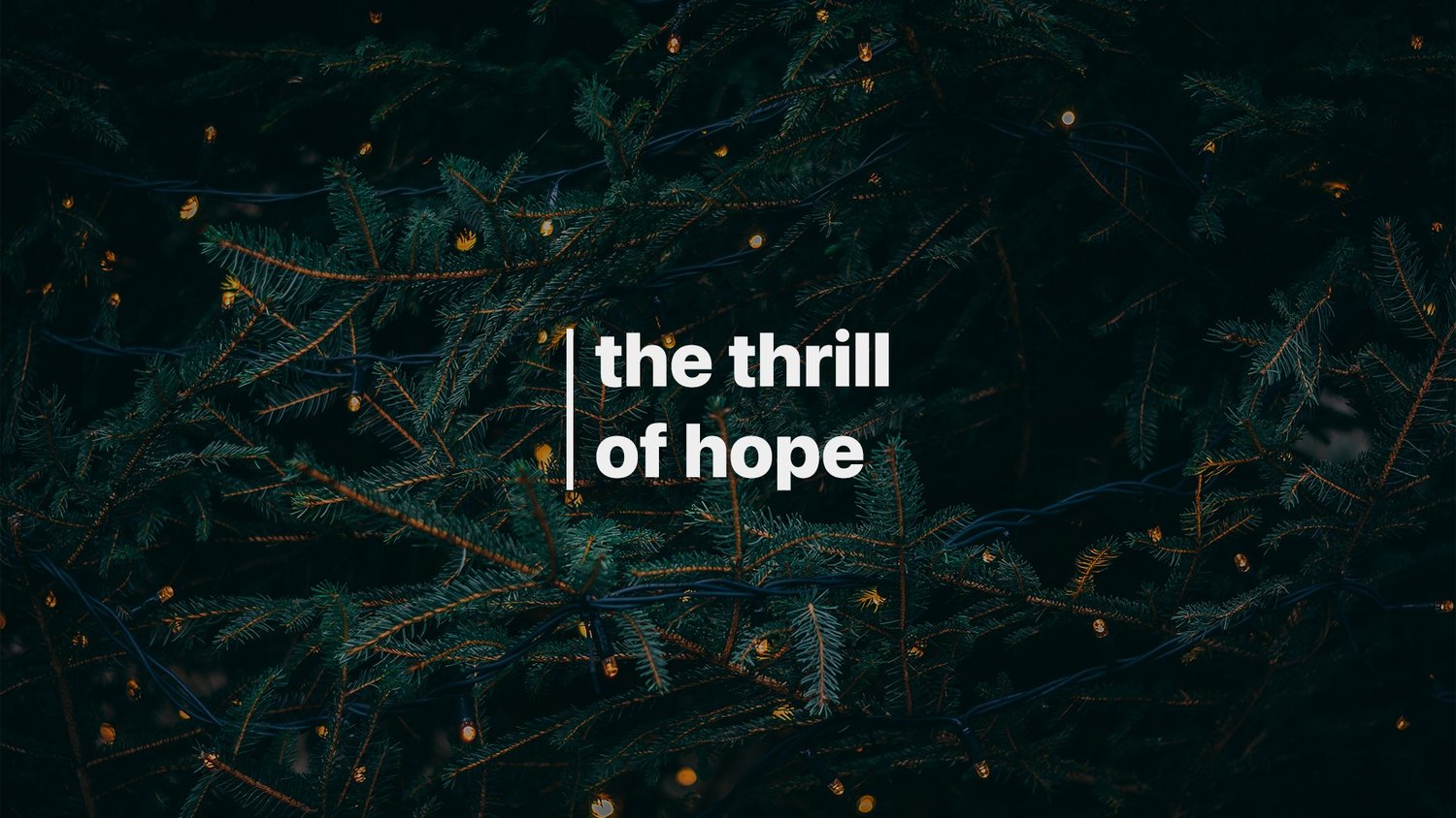 12-03: Advent :: The Thrill of Hope episode artwork