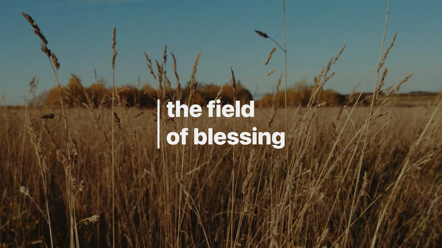 09-08: The Field of Blessing episode artwork
