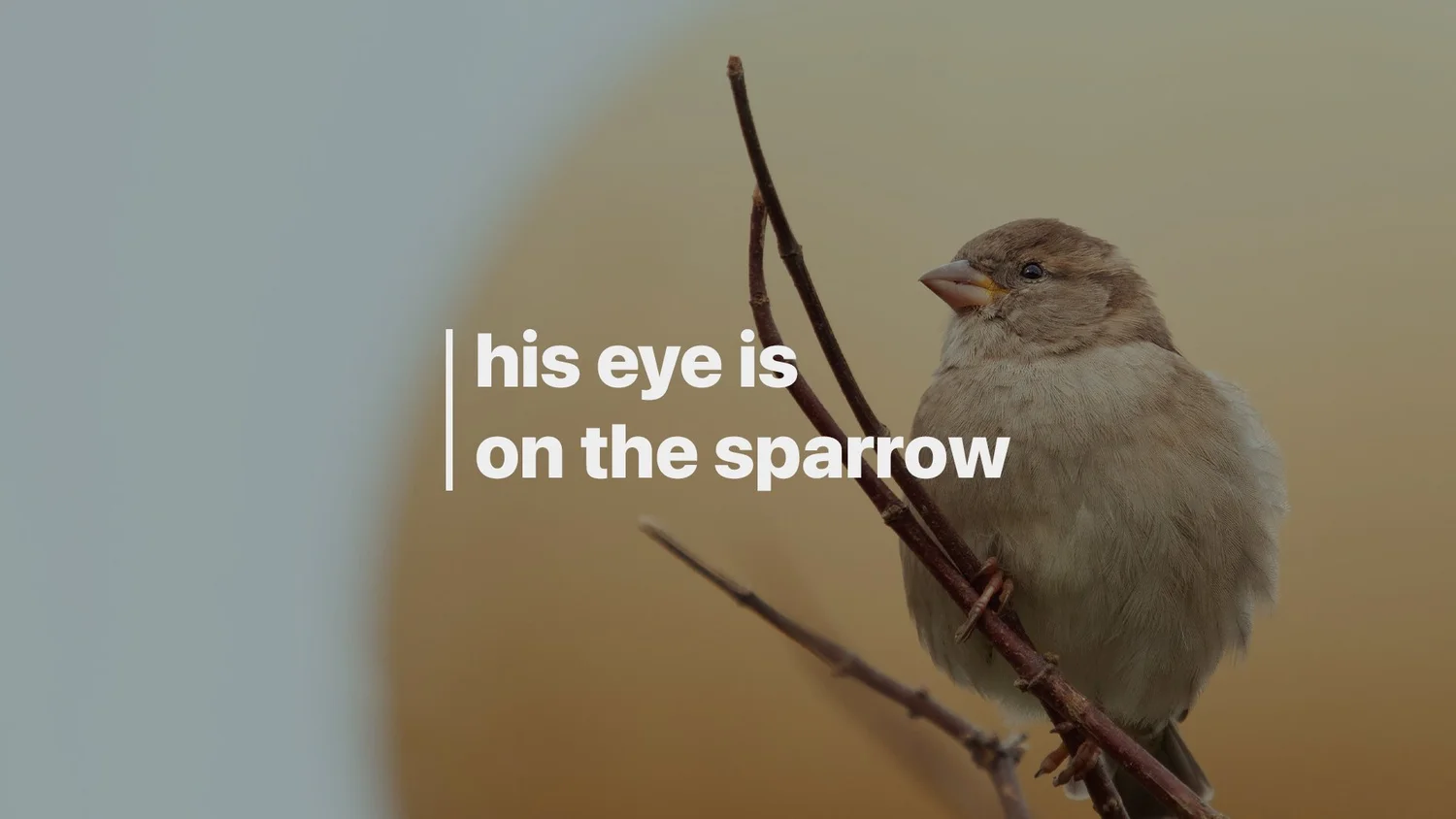 09-15: His Eye Is On The Sparrow episode artwork