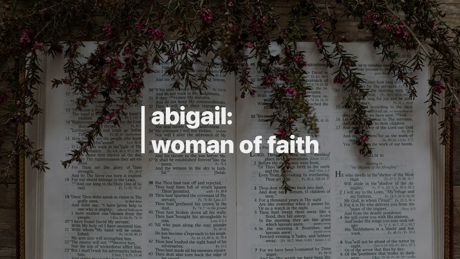 05-11: Abigail: Woman of Faith episode artwork
