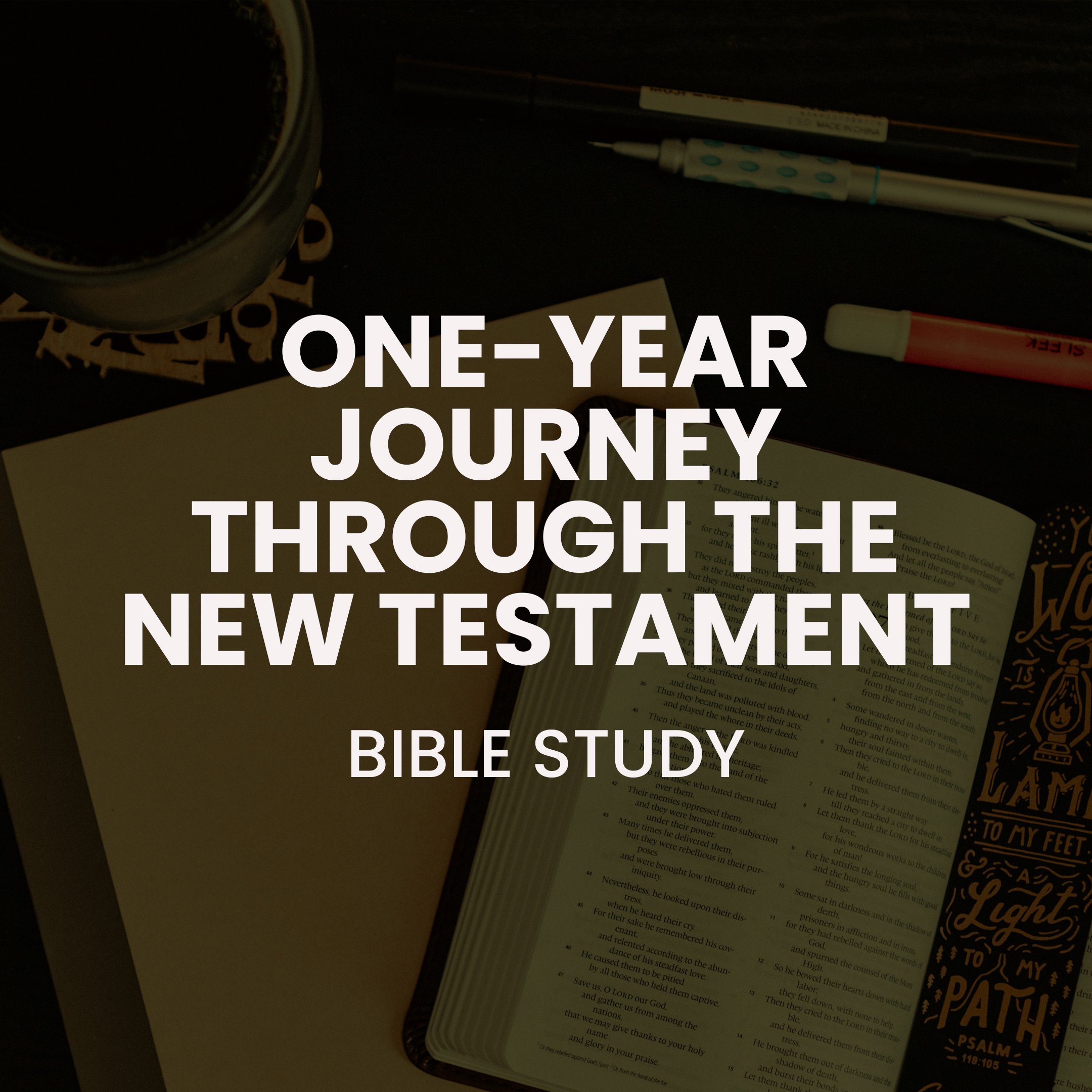 New Testament Bible Study