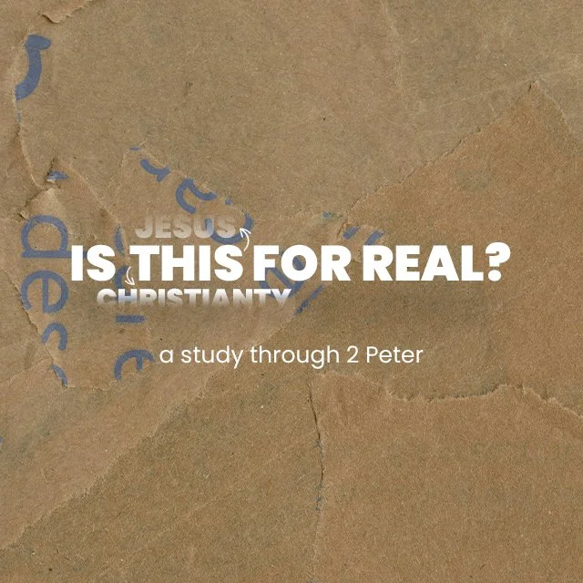 04-19: Is This For Real? :: You Have Been Given A Gift