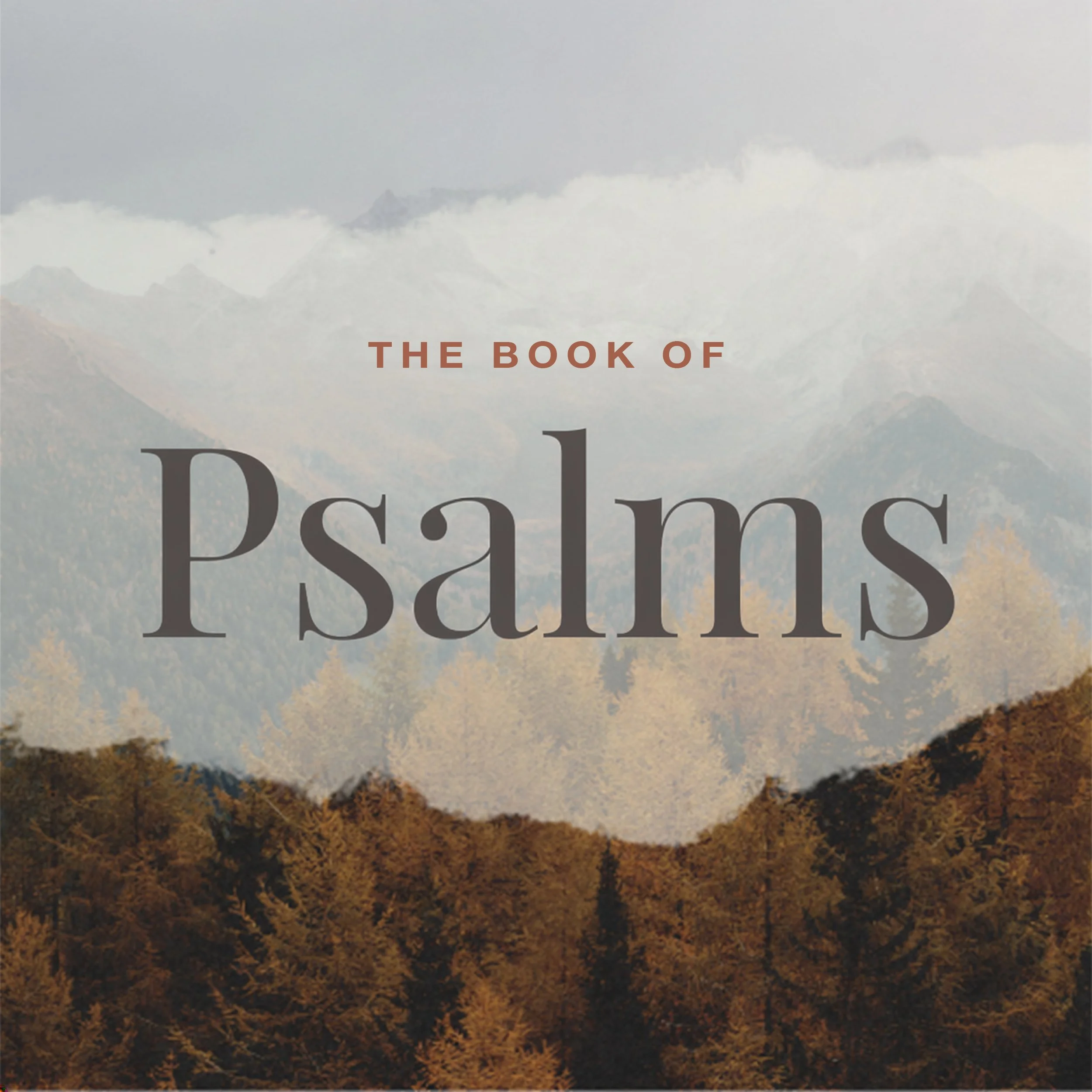 Teen Bible Study: Psalms