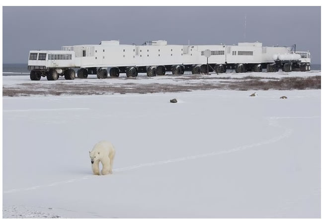 tundra buggy lodge 1.jpg