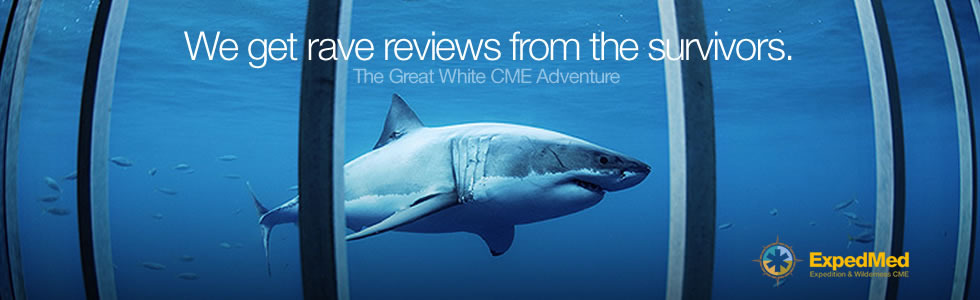 hdr_expedmed_greatwhite3.jpg