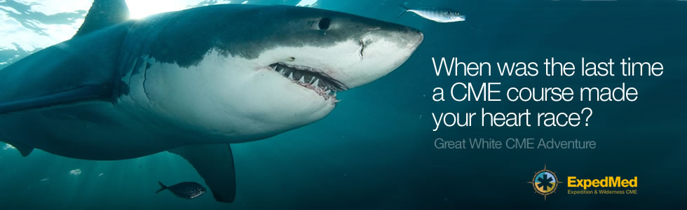 hdr_expedmed_greatwhite1.jpg