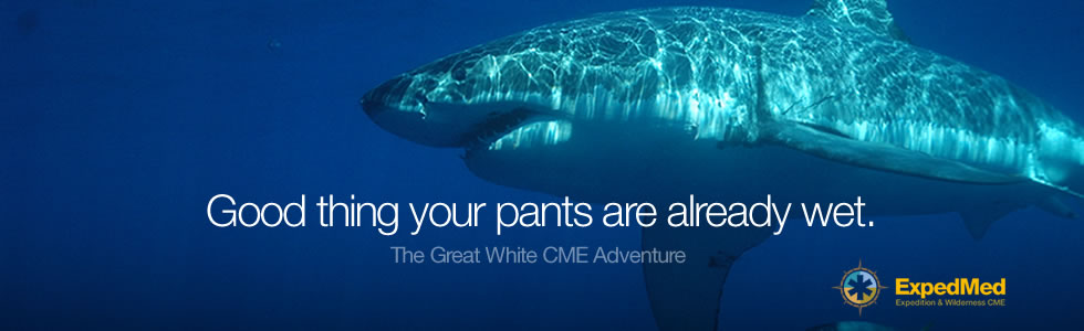 hdr_expedmed_greatwhite4.jpg