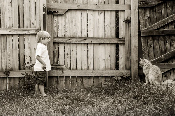 Toddler boy facing off with cat about four feet away.