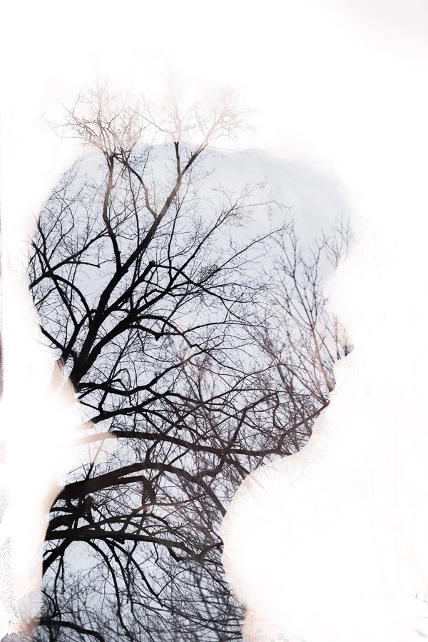 profie with trees double exposure