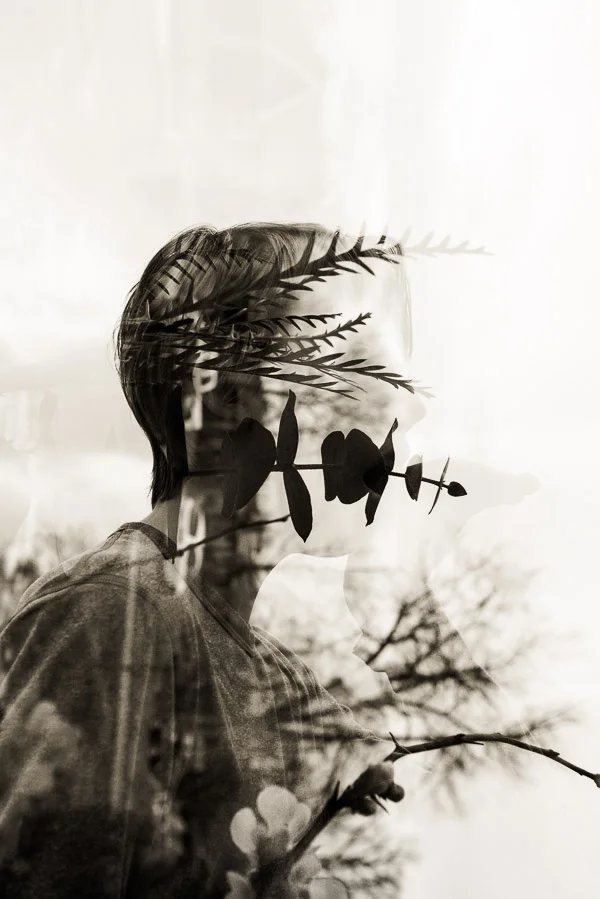 Profile with plants