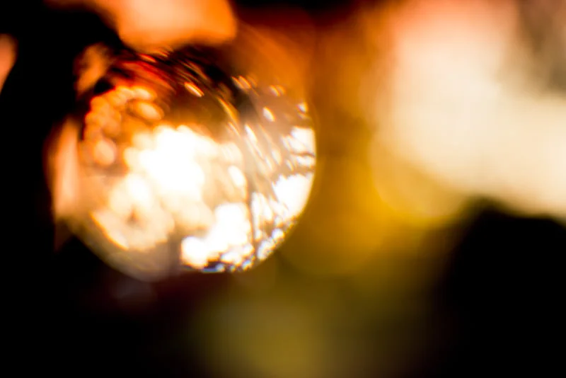 Willy-Wilson-Personal-Projects-Light-Entwined-1.jpg