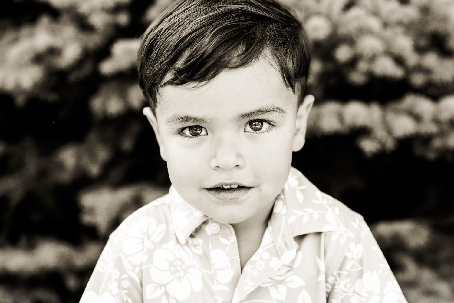 Denver-preschool-photographer-17.jpg