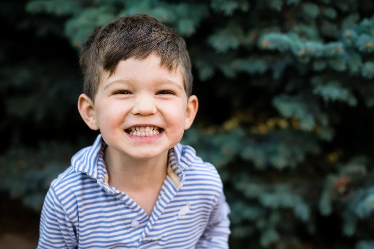 Denver-preschool-photographer-11.jpg