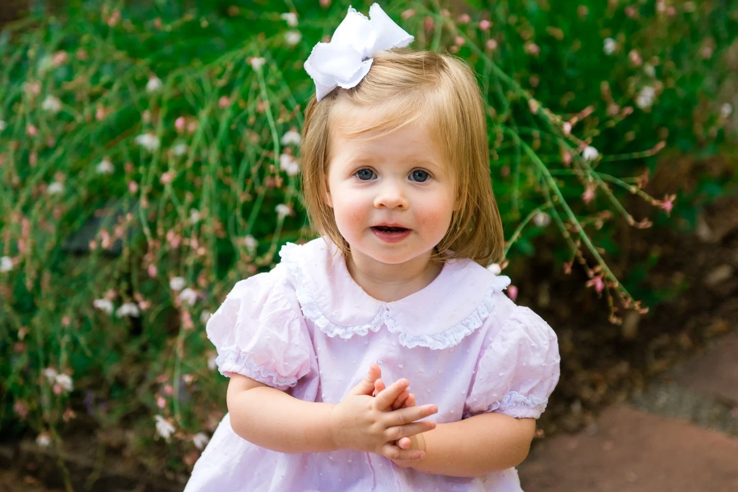 Denver-preschool-photographer-21.jpg