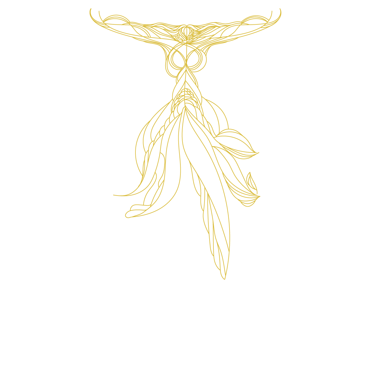 inicioflor.png