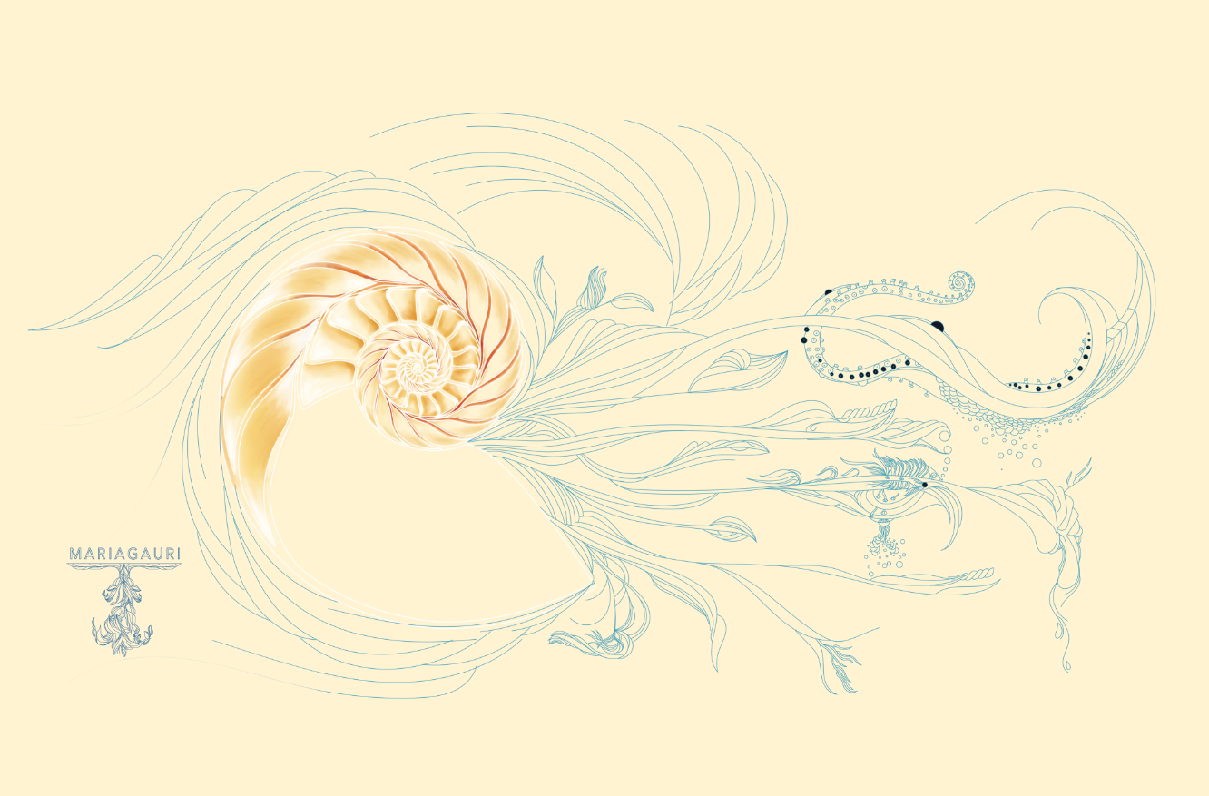 NAUTILIUS lineas PNG WEB.png